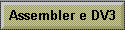Assembler e DV3